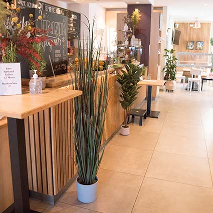 Comptoir de restaurant avec des plantes