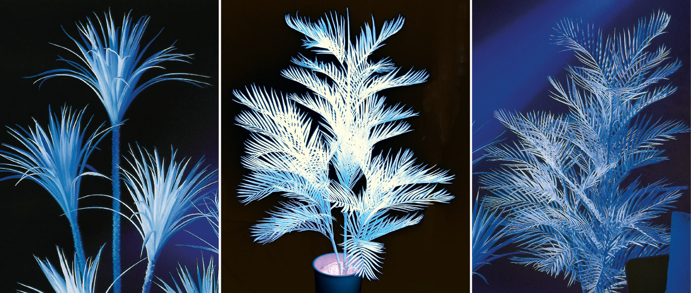 UV-active plants title image