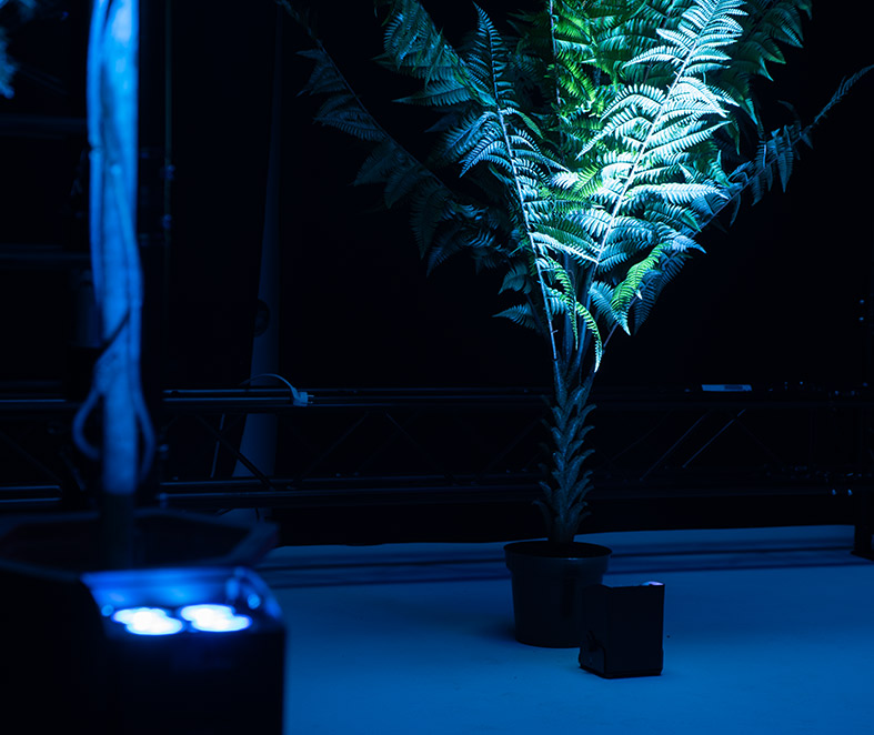 EUROLITE AKKU IP UP-4 PLUS Effektbild 1