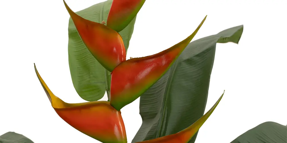 Piante artificiali ignifughe FIRESILX