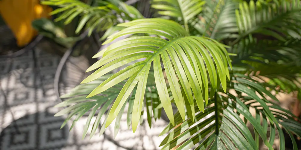 EUROPALMS Tropisches Flair Dschungel-Dickicht